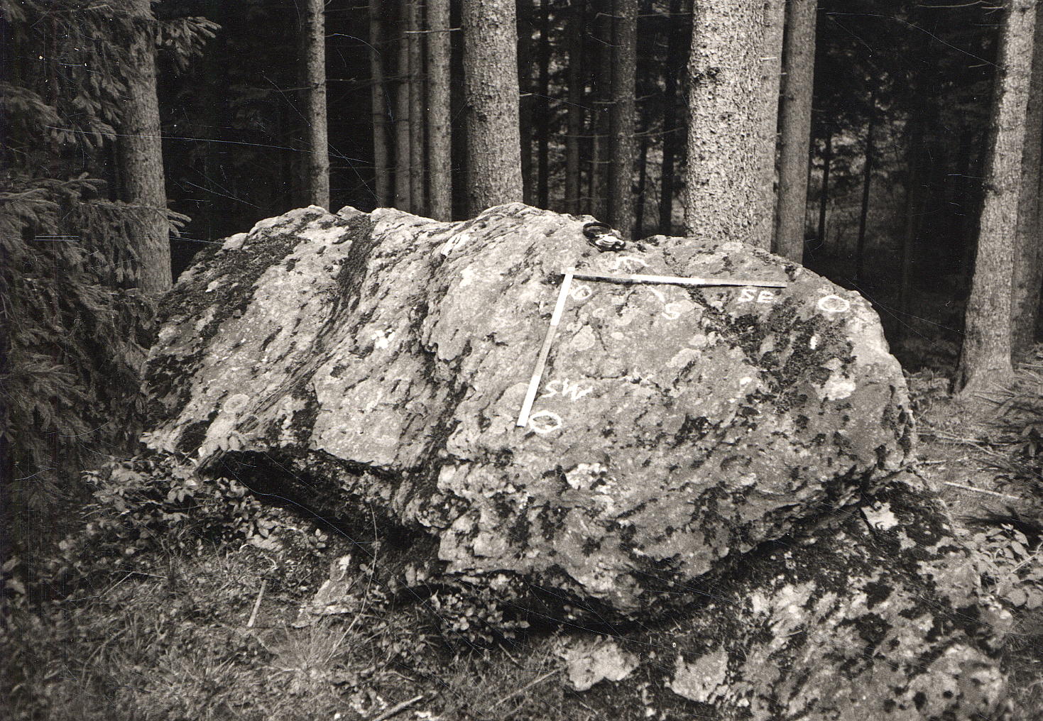 Schalensteine In Innsbruck