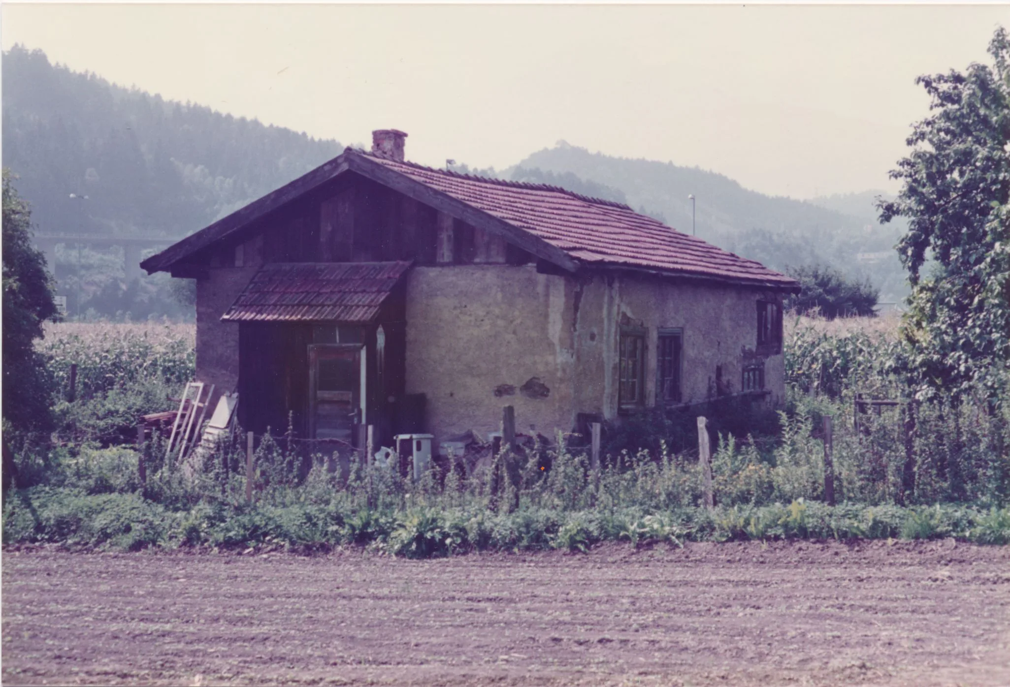 Geräteschuppen Im Maisfeld