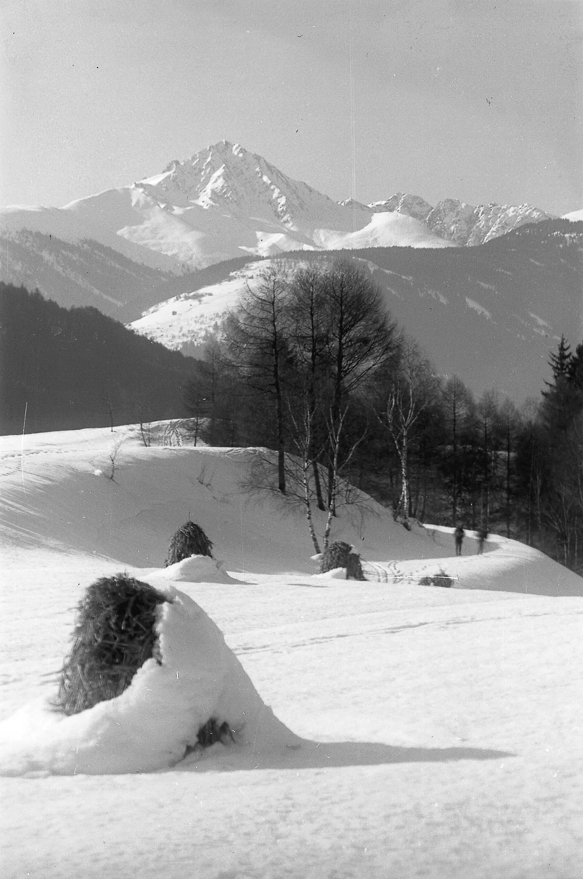 Oellacher Und Der Blutschnee