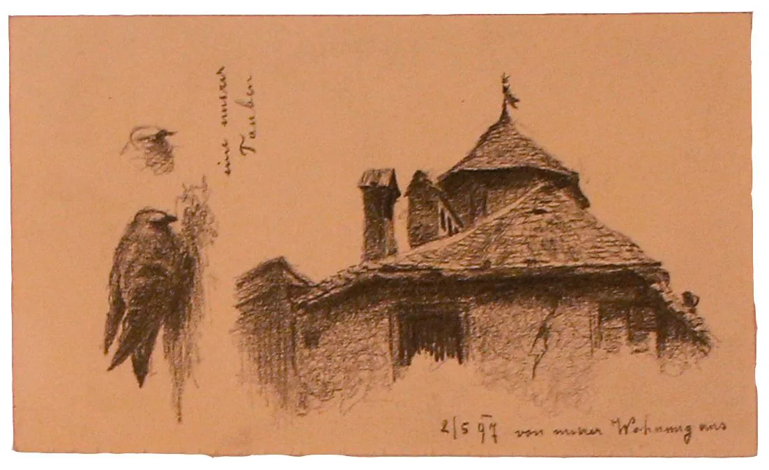 Blick Aus Dem Fenster