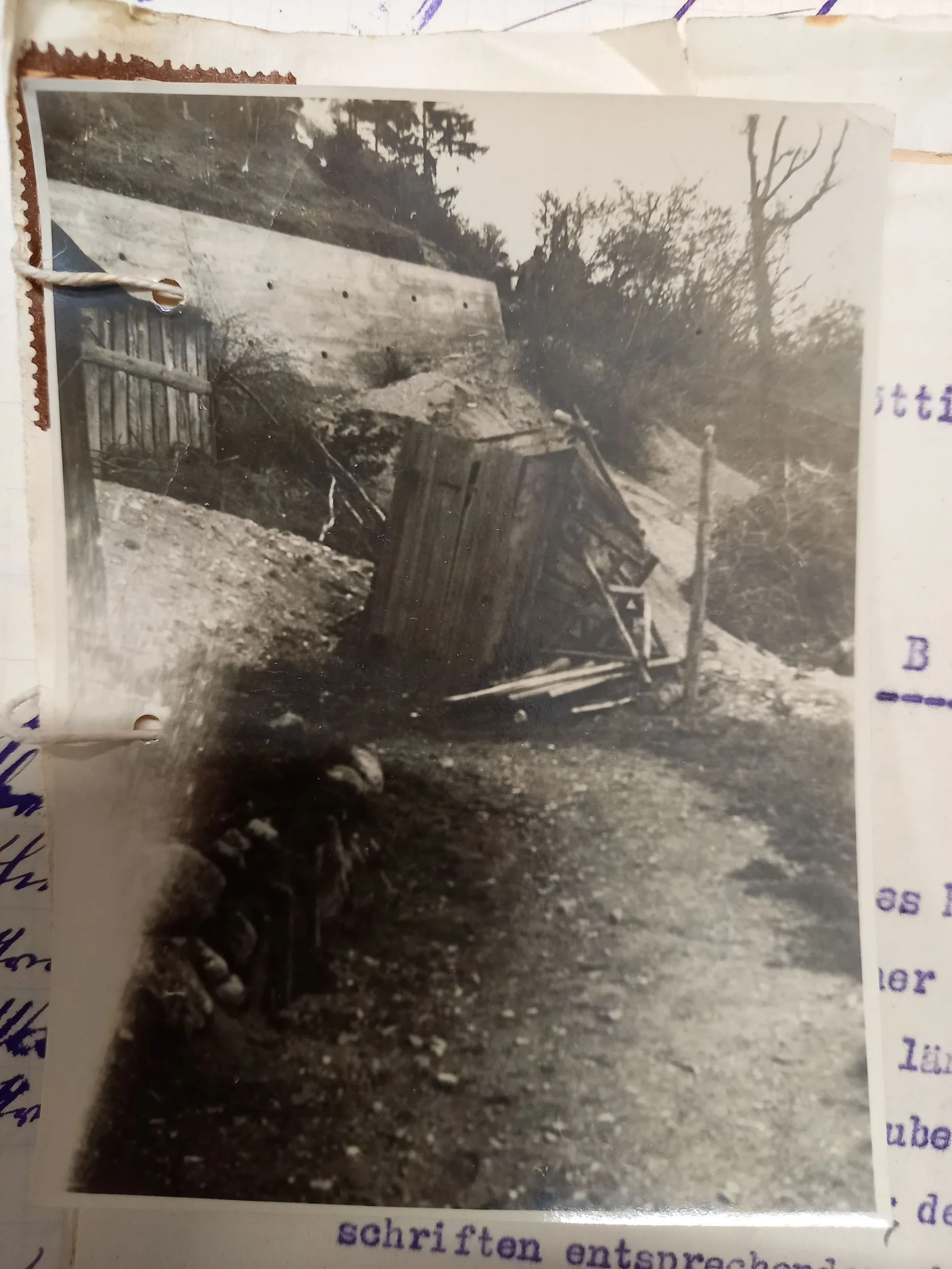 Wahrlich Keine Zierde