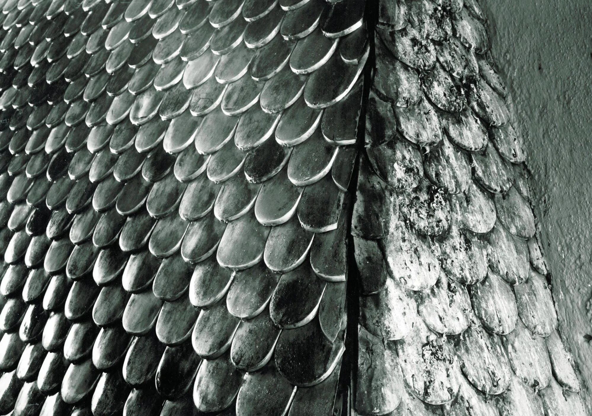 Frühjahrsputz Beim Goldenen Dachl_ Teil 1