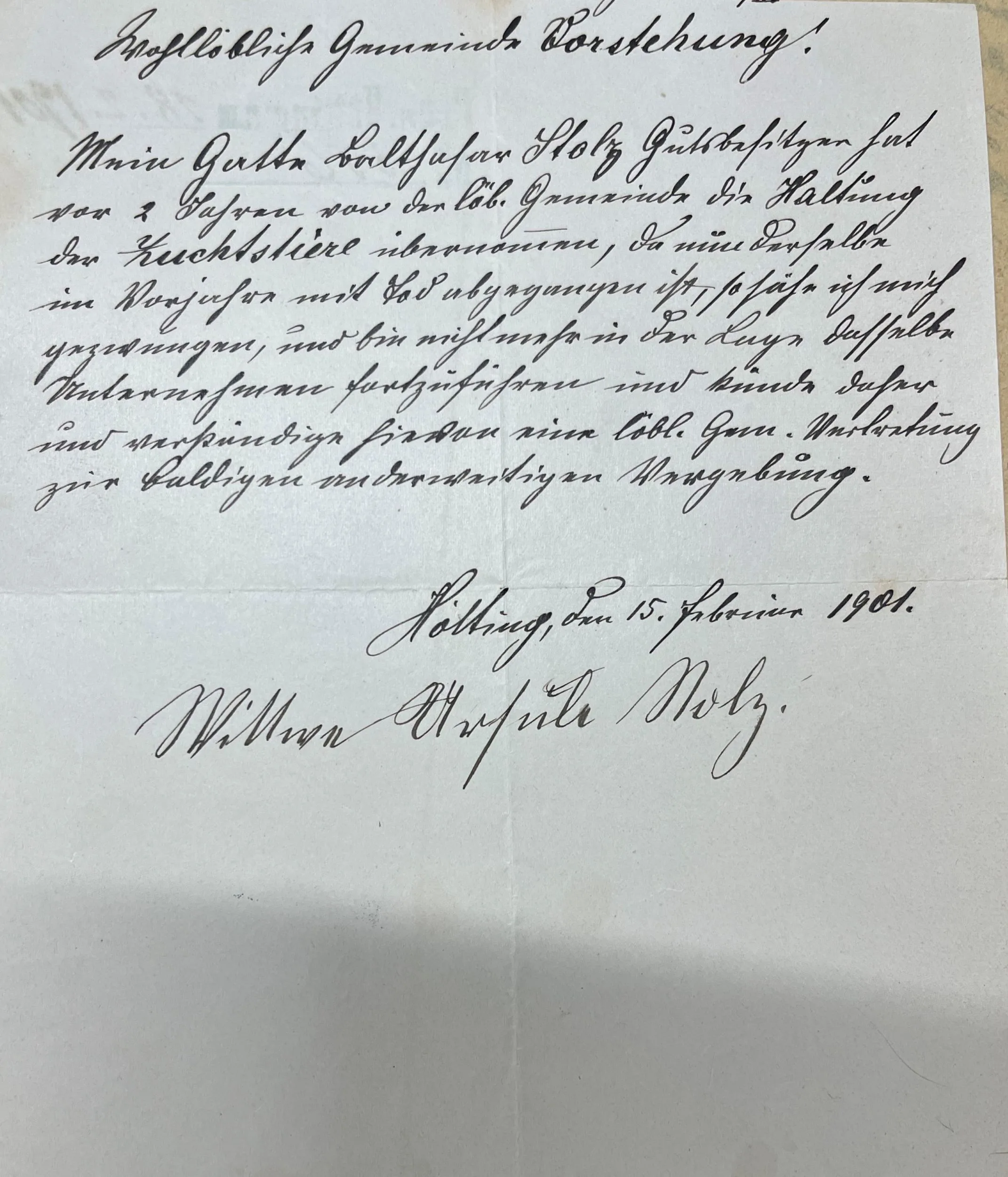 Der Bulle Von Hötting