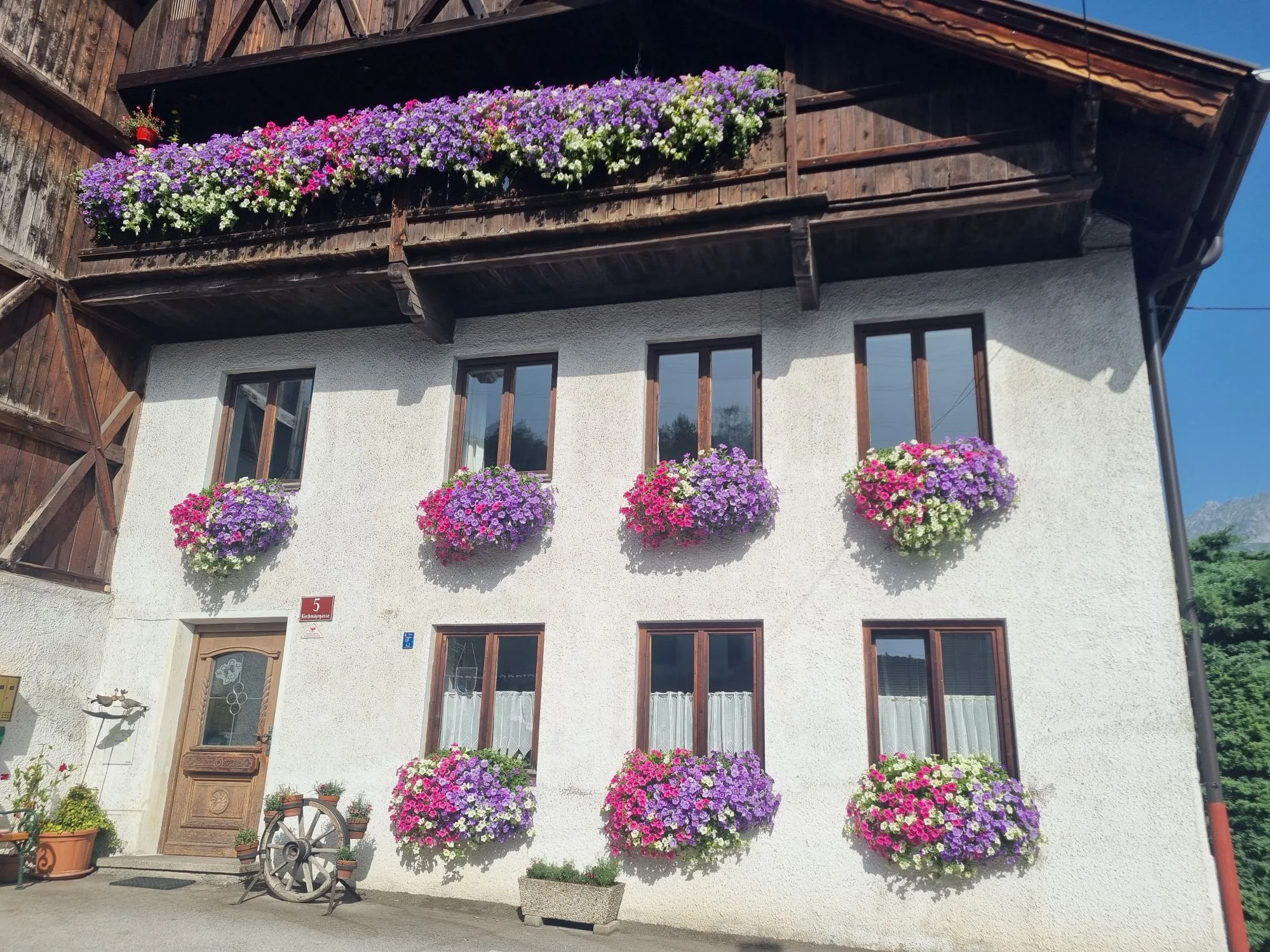 Blumenschmuck In Innsbruck