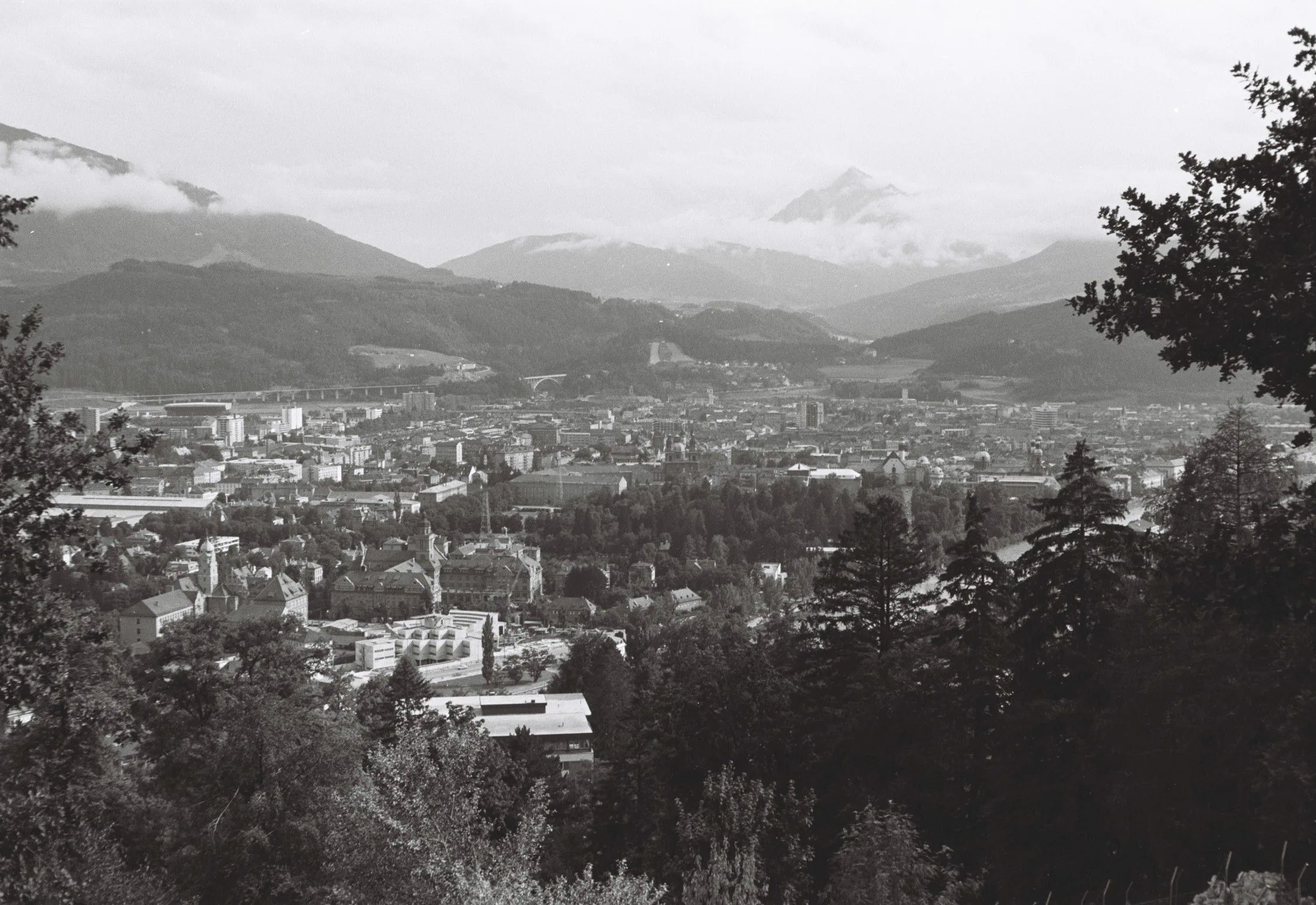 Vom Alpenzoo Hinab