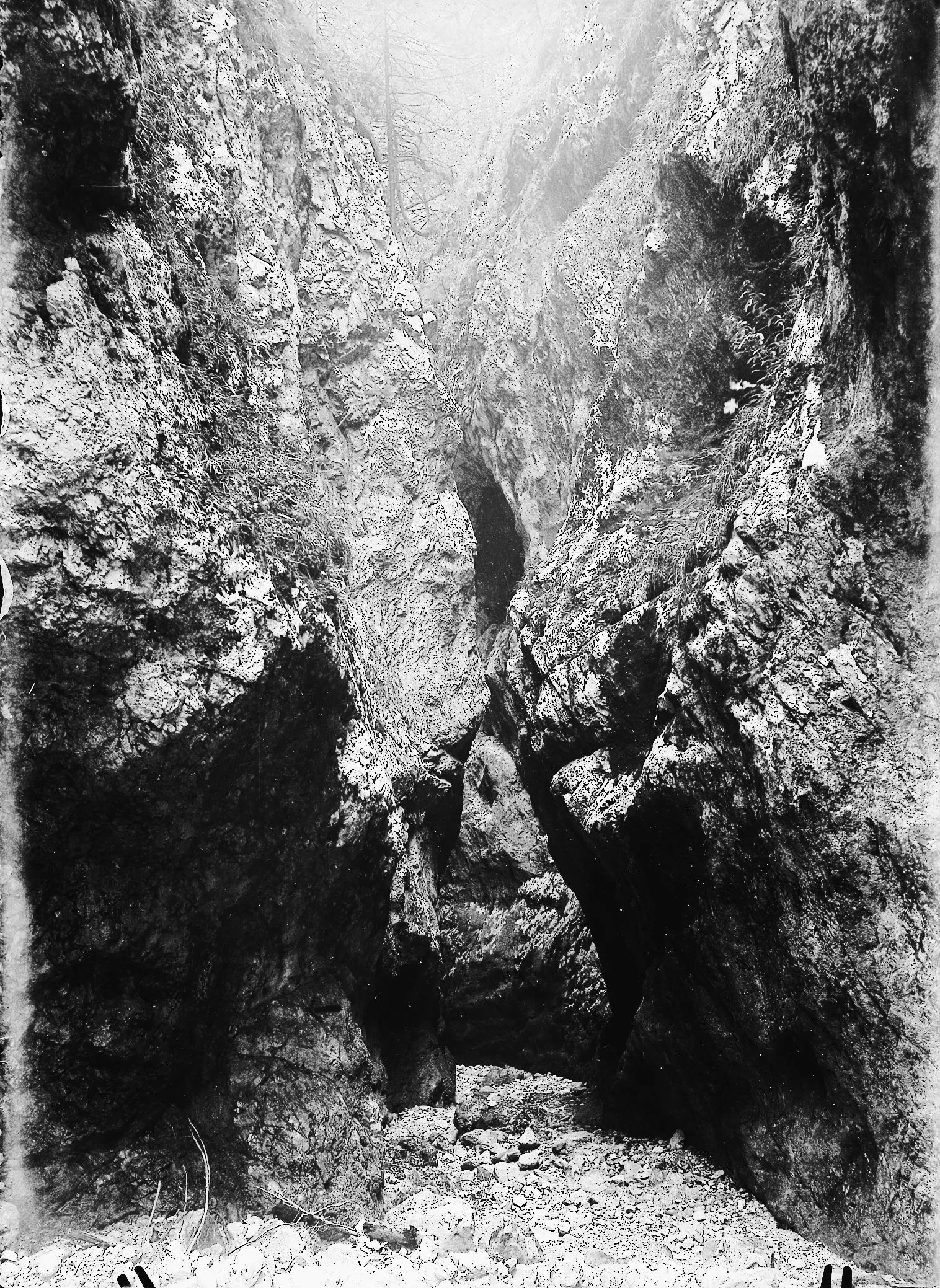 Nel Mezzo Del Cammin