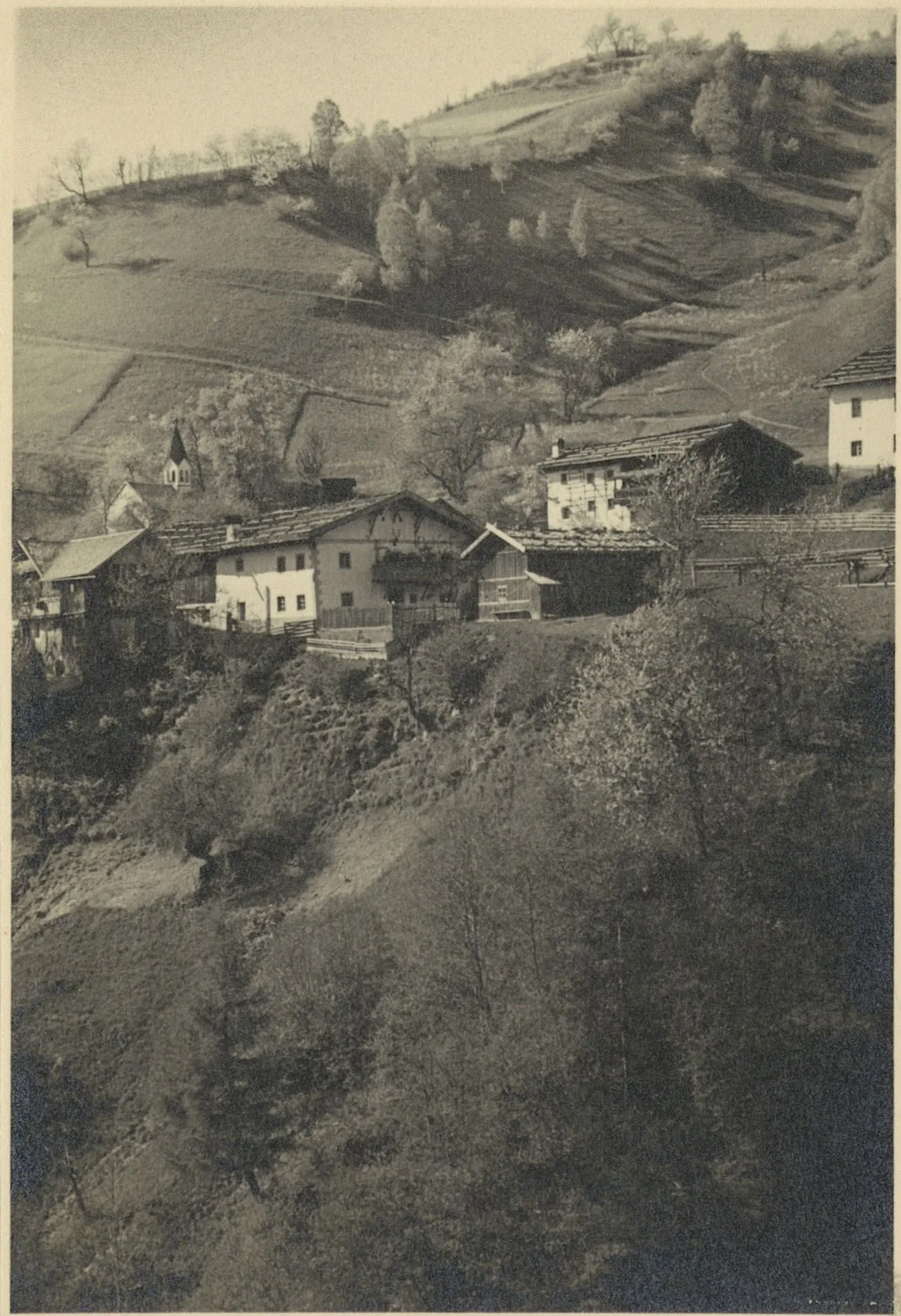Hinaus Ins Land (134)