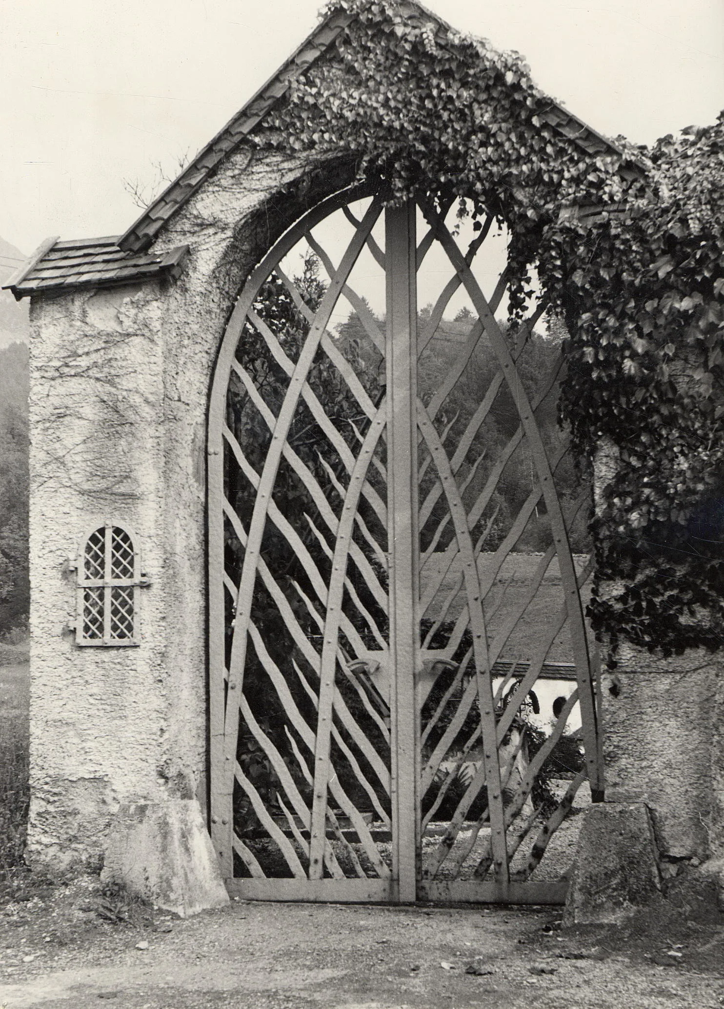 Hühnerplage Auf Dem Friedhof