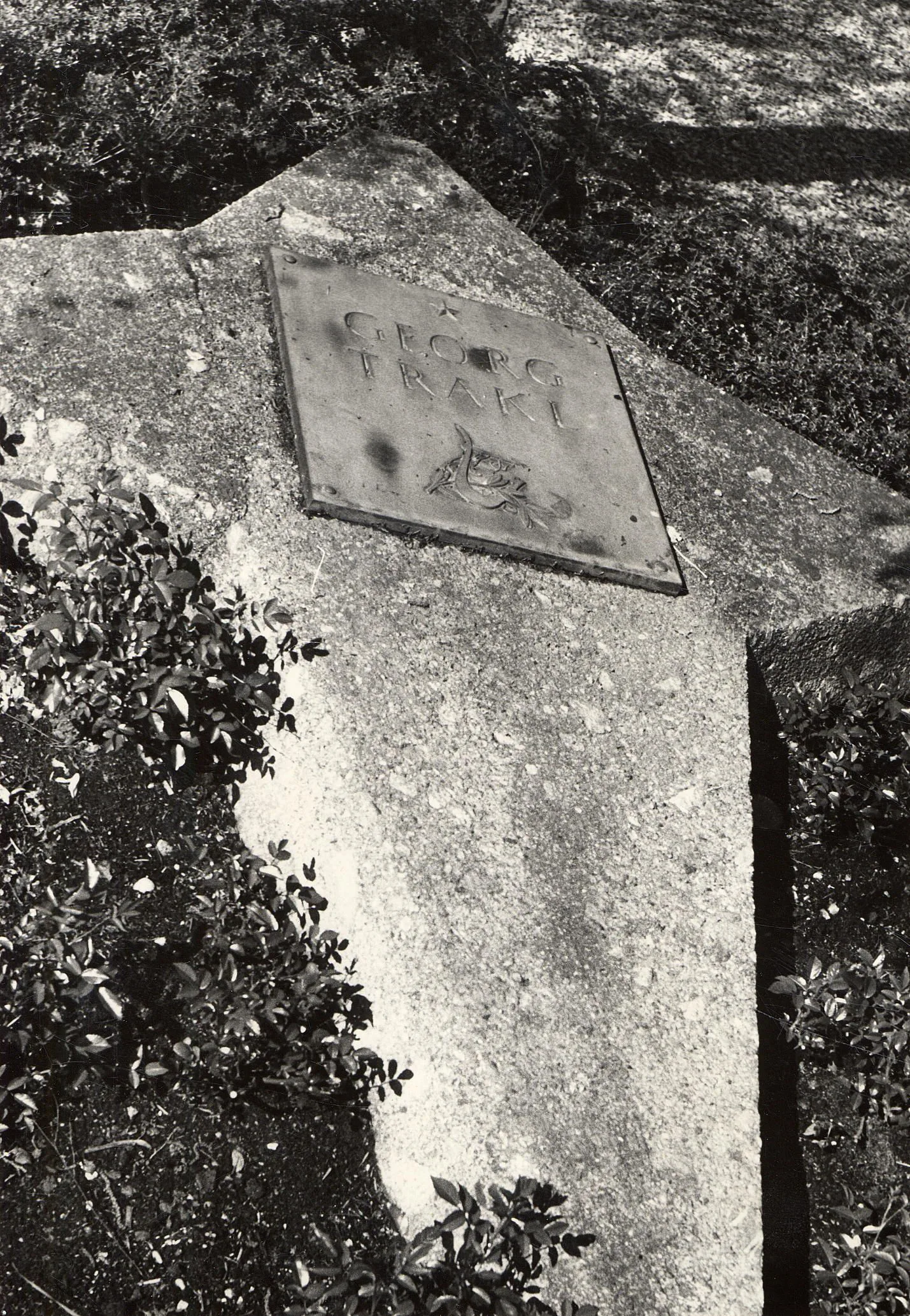 100 Jahre Georg Trakl In Mühlau