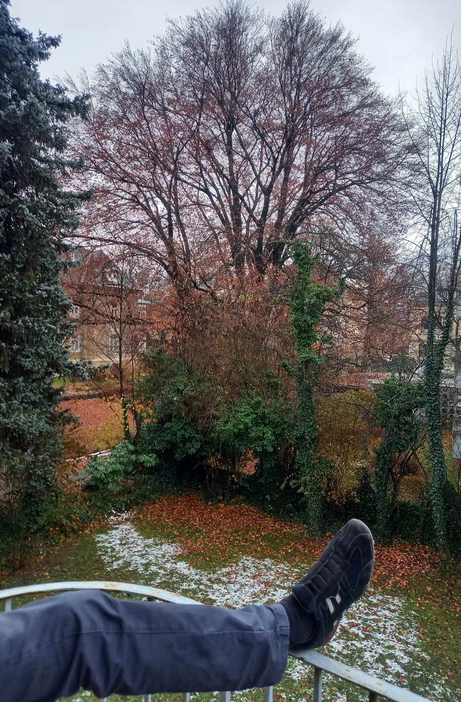 Wir Hatten Einen Dienstgang XXII