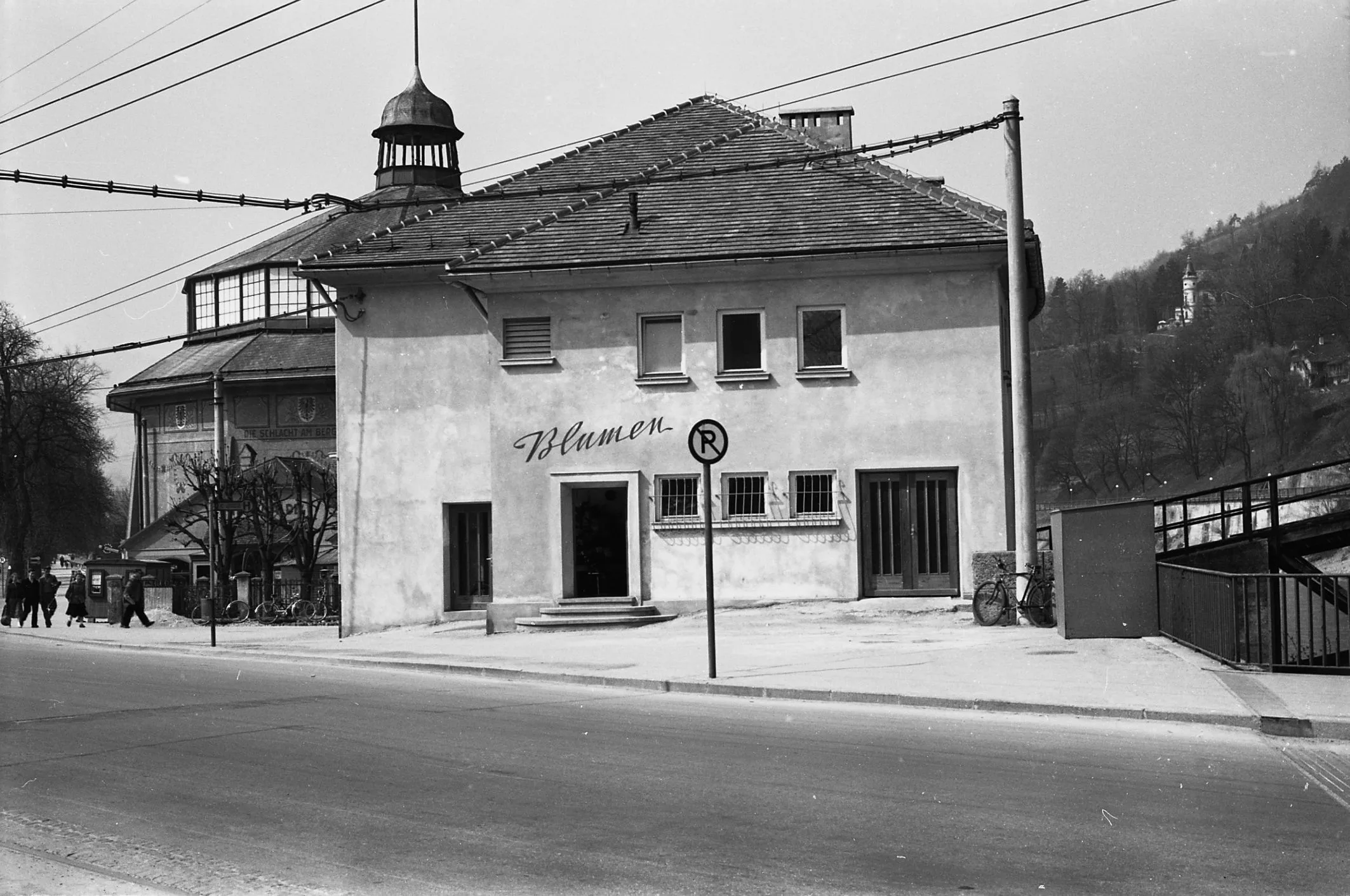 Erinnerungen An Deko-Kakteen