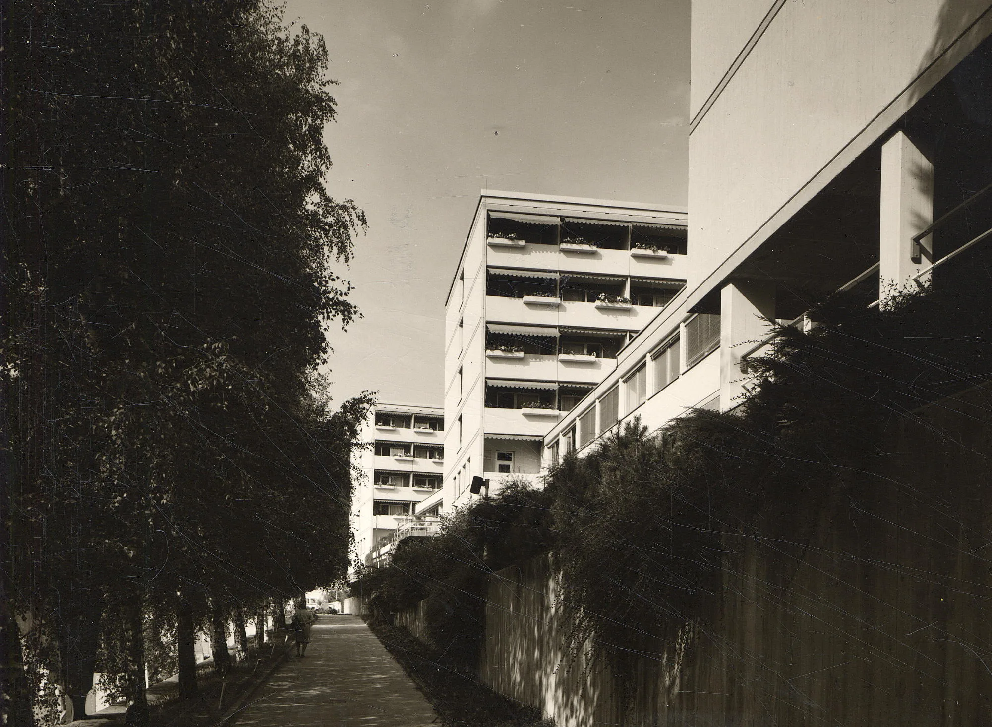 Wir Hatten Einen Dienstgang XXI – Fortsetzung