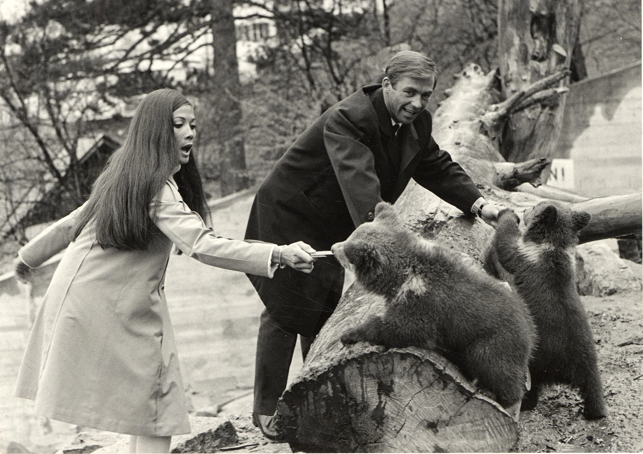 Läuft Das So Im Alpenzoo?