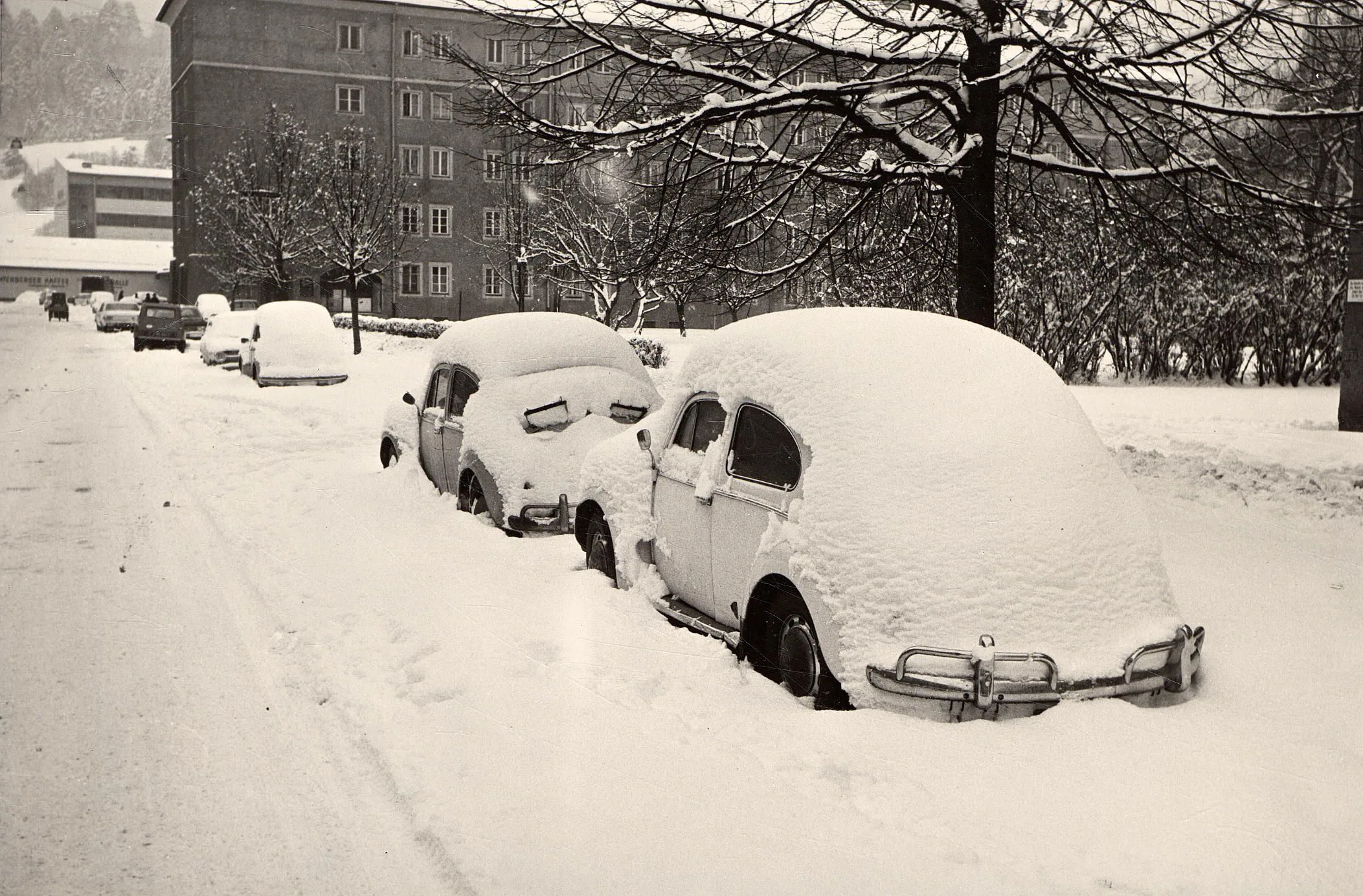 Schnee In Der Stadt – Ein Teures Vergnügen