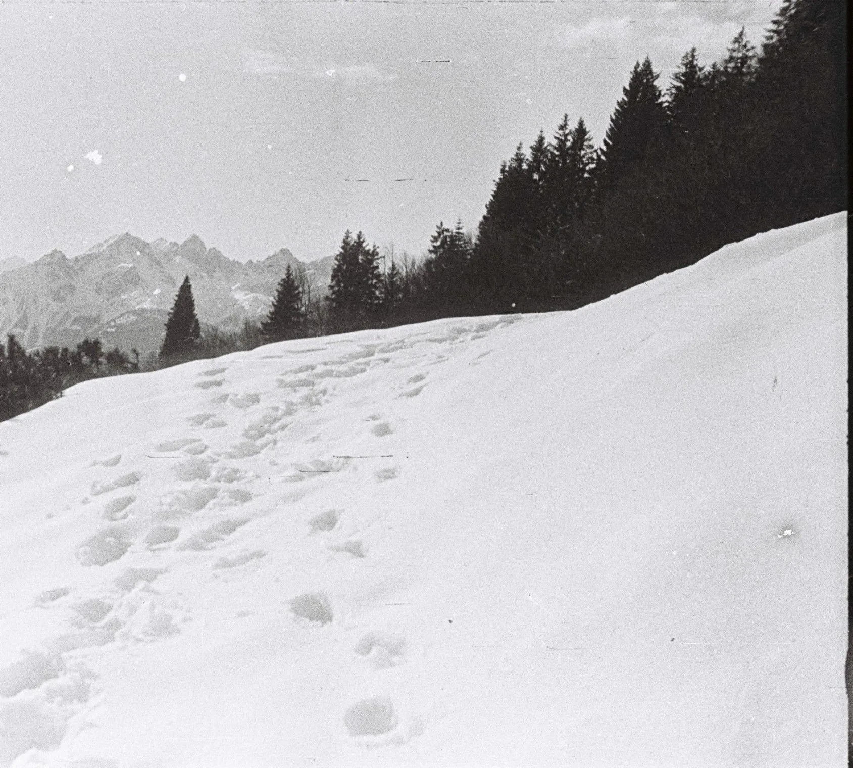 Noch Eine Frage Des Standpunkts