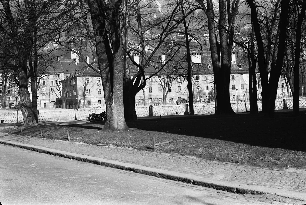 Bilder, Die Die Welt – Nicht ? – Braucht –X