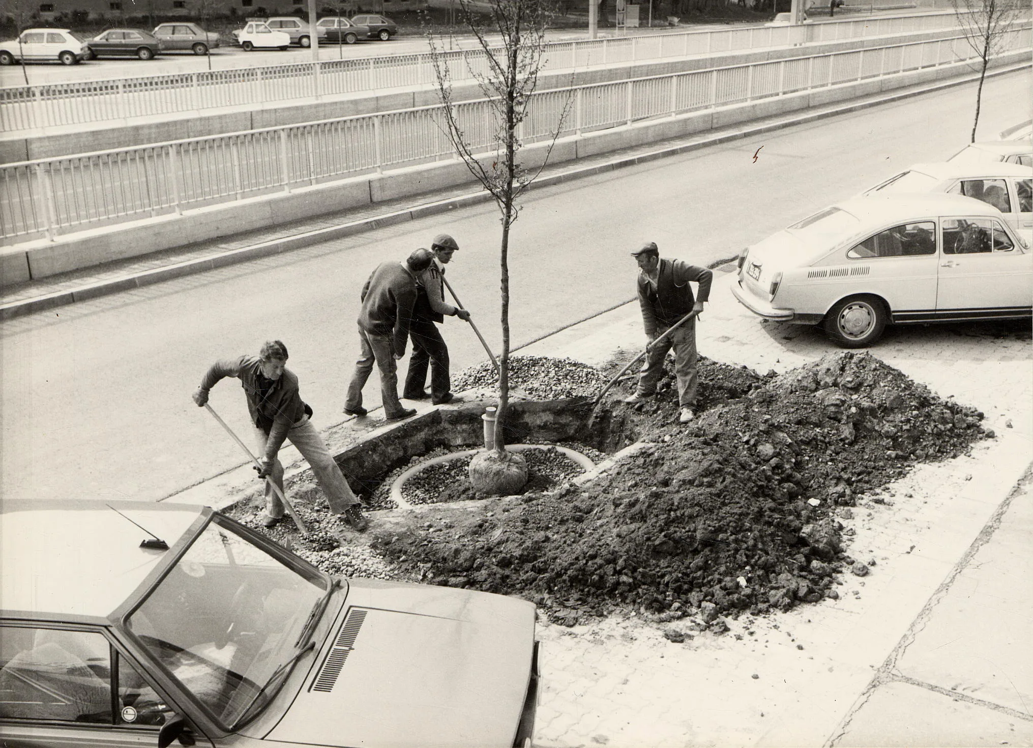 (Un-)wörter Des Jahres?