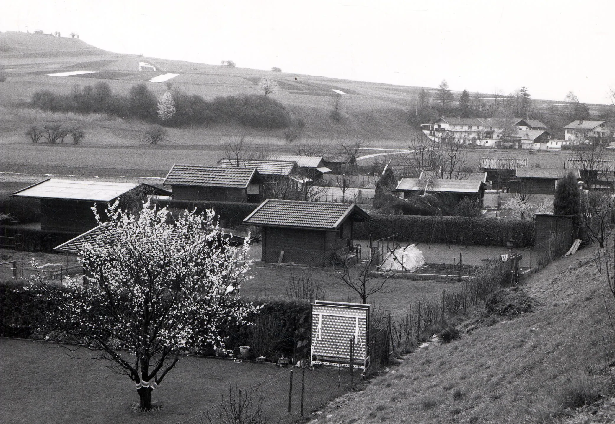 Der Traum Von Der Eigenen Grünen Oase