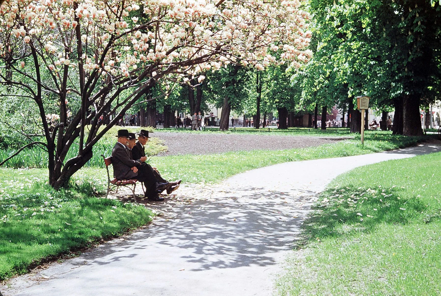 Sommer, Sonne, Hofgarten!