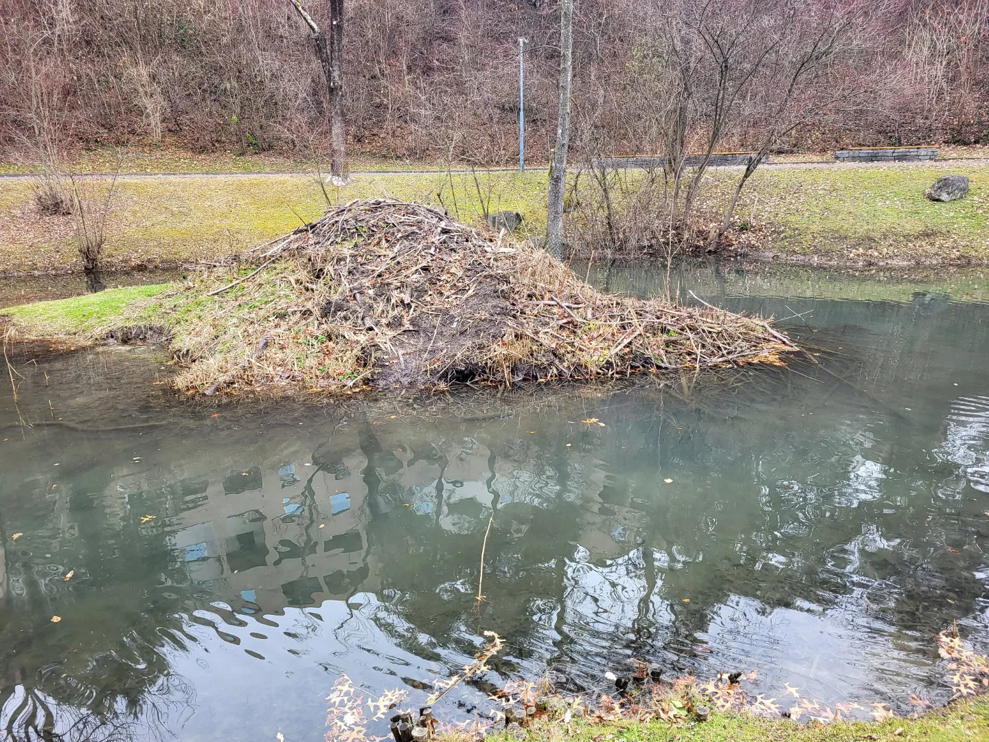 Die Burg Biber In Innsbruck