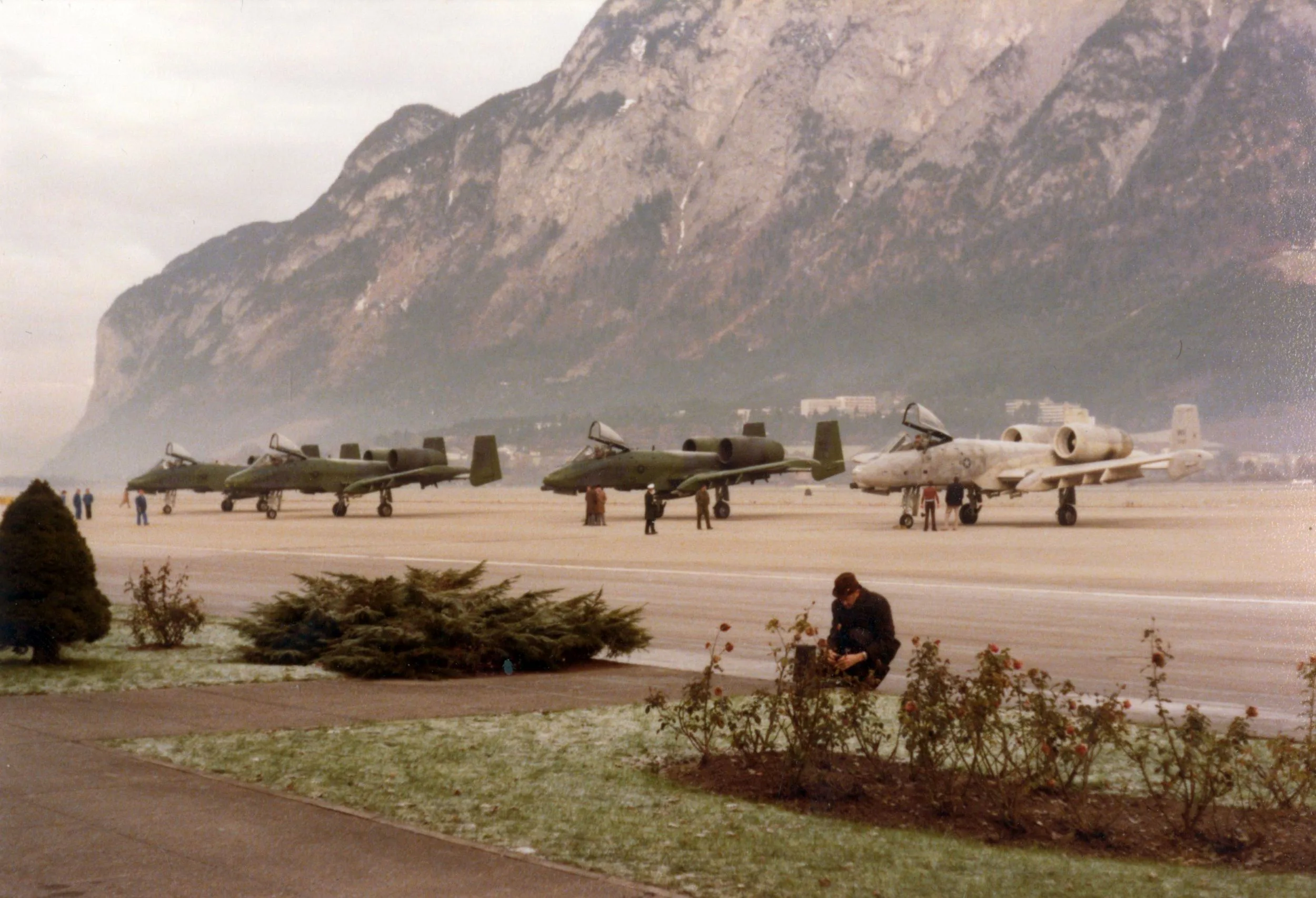 Die „Warzenschweine“ Landen