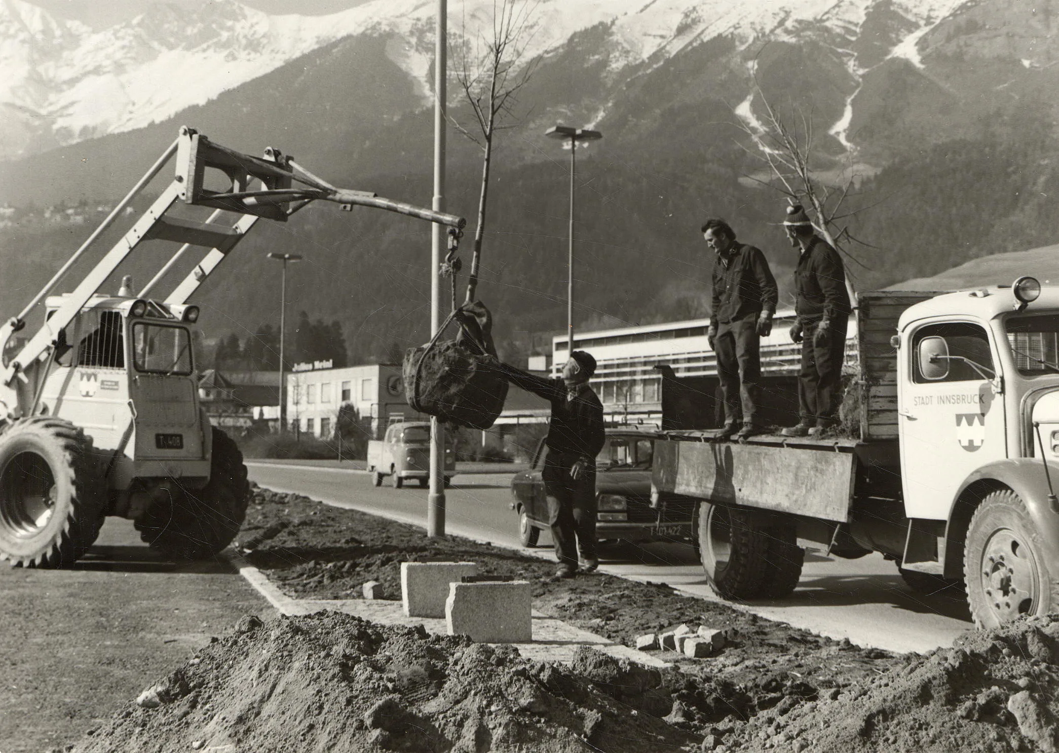 Es Grünt So Grün, Wenn Innsbrucks Bäume Blühen