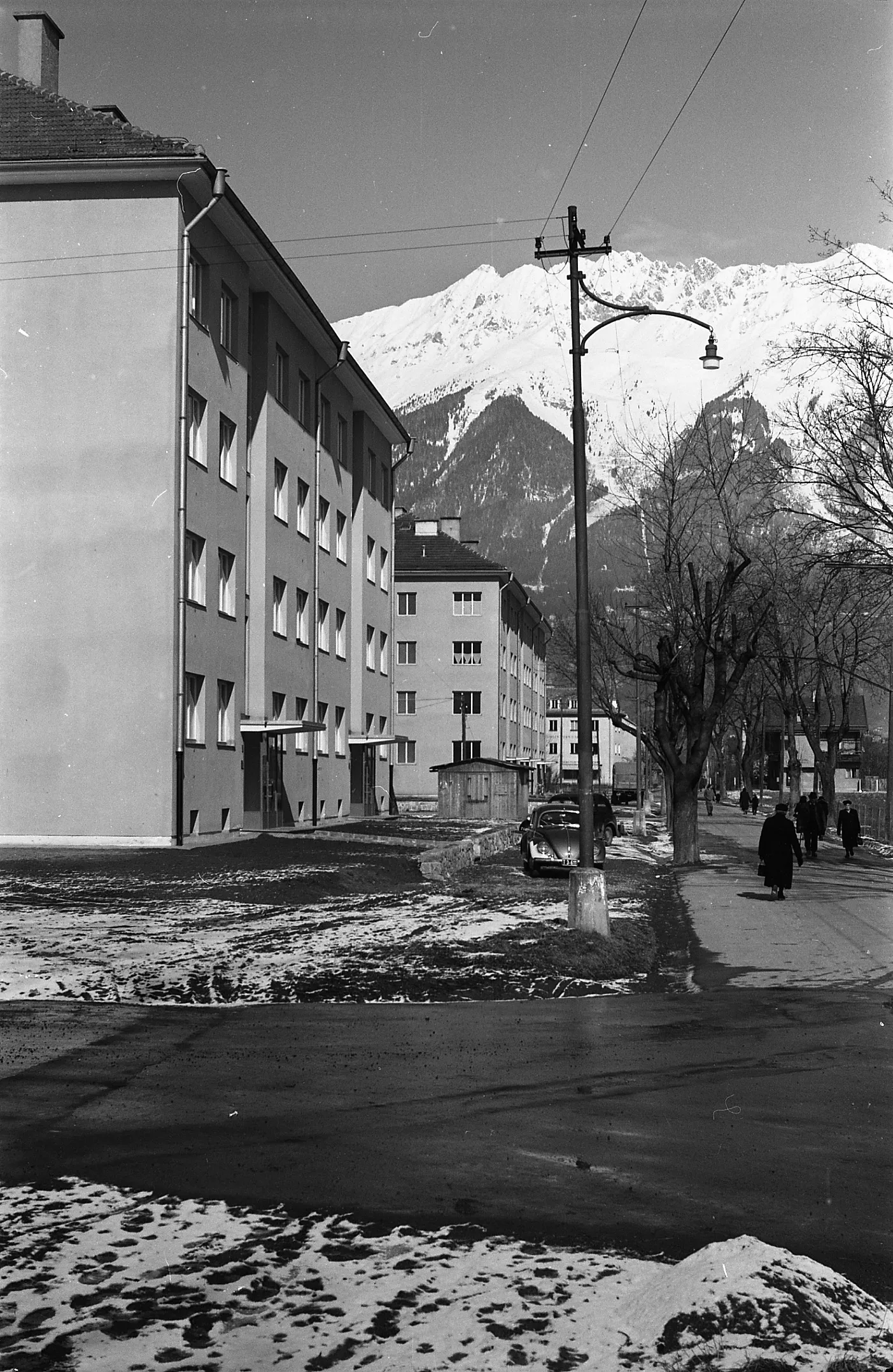 Portrait Eines Mastens – II