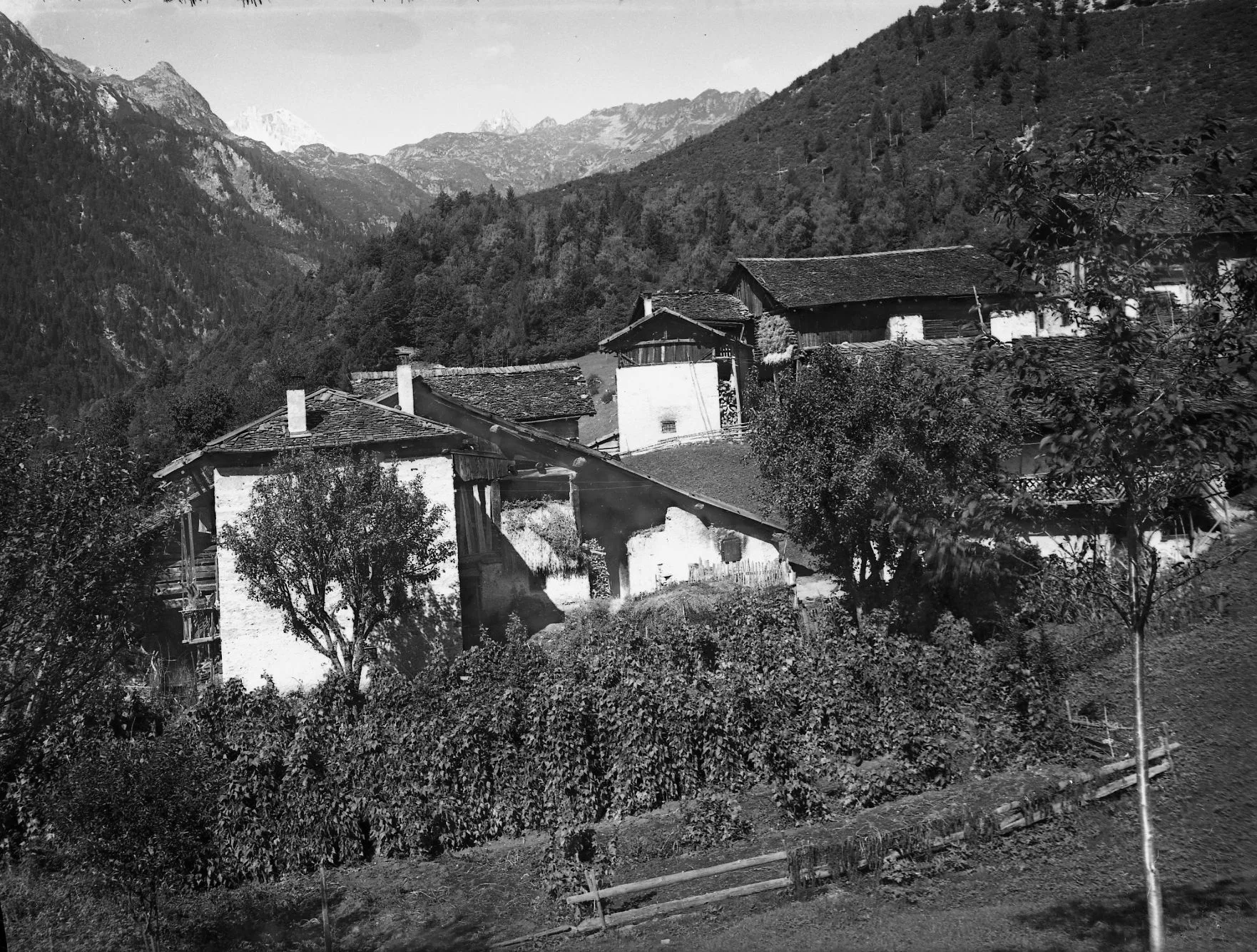 Hinaus Ins Land (148)