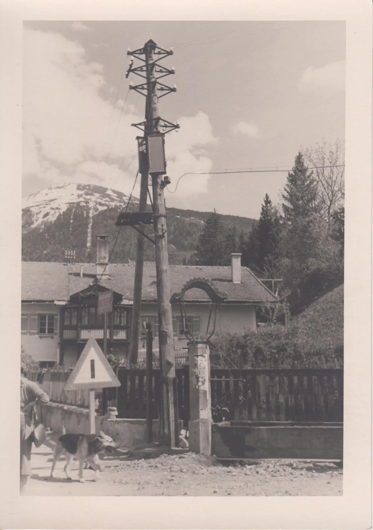 Portrait Eines Mastens