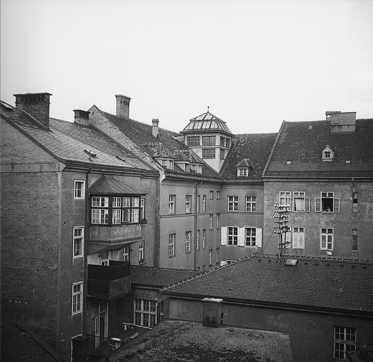 Blick Aus Dem Fenster